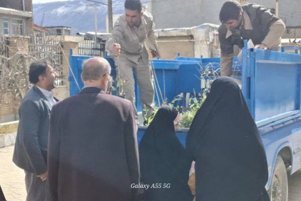 پویش کاشت نهال ویژه سفیران قرآنی نهضت زندگی با آیه ها در شهرستان بدره