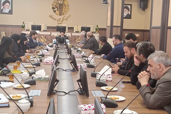 بانوان مشهدی با پویش «همسفر با رقیه» پرچم‌دار معرفی یاران نهضت کربلا و ترویج فرهنگ مقاومت شدند.